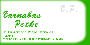 barnabas petke business card